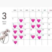 ヒメ日記 2025/02/28 13:47 投稿 高木あげは エルドール