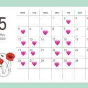 ヒメ日記 2025/04/24 10:53 投稿 高木あげは エルドール