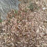 ヒメ日記 2025/02/10 20:44 投稿 菜々美 出会い系人妻ネットワーク 五反田～品川編