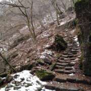 ヒメ日記 2025/03/19 12:37 投稿 菜々美 出会い系人妻ネットワーク 五反田～品川編