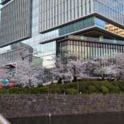 ヒメ日記 2025/04/04 22:36 投稿 菜々美 出会い系人妻ネットワーク 五反田～品川編