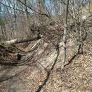 ヒメ日記 2025/04/11 20:46 投稿 菜々美 出会い系人妻ネットワーク 五反田～品川編