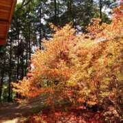 ヒメ日記 2025/05/12 19:36 投稿 菜々美 出会い系人妻ネットワーク 五反田～品川編