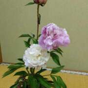 ヒメ日記 2025/05/18 22:42 投稿 菜々美 出会い系人妻ネットワーク 五反田～品川編