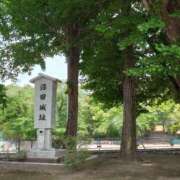 ヒメ日記 2025/05/30 23:24 投稿 菜々美 出会い系人妻ネットワーク 五反田～品川編