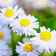 ヒメ日記 2025/06/02 11:19 投稿 菜々美 出会い系人妻ネットワーク 五反田～品川編