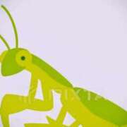 ヒメ日記 2025/08/08 12:21 投稿 菜々美 出会い系人妻ネットワーク 五反田～品川編