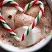 ヒメ日記 2024/12/17 10:51 投稿 まみ 三重四日市ちゃんこ