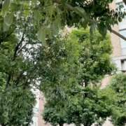 ヒメ日記 2024/12/27 14:05 投稿 花沢ここみ 池袋派遣型JKリフレ age8