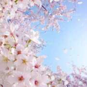 ヒメ日記 2025/03/28 09:17 投稿 えり 甲府人妻隊