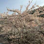 ヒメ日記 2025/04/03 08:00 投稿 えり 甲府人妻隊