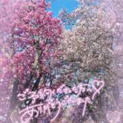 ヒメ日記 2025/04/05 08:04 投稿 えり 甲府人妻隊