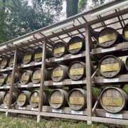 ヒメ日記 2025/04/10 11:32 投稿 えり 甲府人妻隊