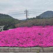 ヒメ日記 2025/04/30 09:34 投稿 えり 甲府人妻隊