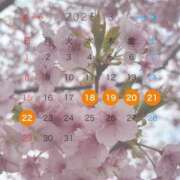 ヒメ日記 2026/03/03 08:37 投稿 えり 甲府人妻隊