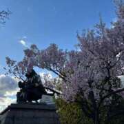 ヒメ日記 2026/03/22 14:43 投稿 えり 甲府人妻隊