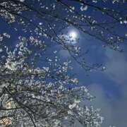 ヒメ日記 2026/03/24 19:56 投稿 えり 甲府人妻隊