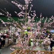 えり 帰ります♡ 甲府人妻隊