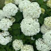 ヒメ日記 2026/06/24 07:02 投稿 えり 甲府人妻隊