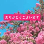 ヒメ日記 2026/09/02 14:11 投稿 えり 甲府人妻隊