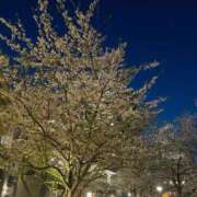 ヒメ日記 2025/04/08 15:36 投稿 ちる 川崎ソープ　クリスタル京都南町