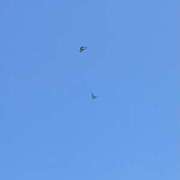 ヒメ日記 2025/10/03 15:29 投稿 佐藤あや 錦糸町アロマエステ ゆめここ-yumecoco-