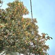 ヒメ日記 2025/10/20 14:47 投稿 一条まき やみつきエステ千葉栄町店