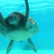 ヒメ日記 2025/04/26 15:01 投稿 浜辺みさき HANABI(福富町)