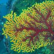 ヒメ日記 2025/05/03 13:00 投稿 浜辺みさき HANABI(福富町)