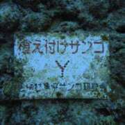 ヒメ日記 2025/05/10 13:00 投稿 浜辺みさき HANABI(福富町)