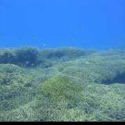 ヒメ日記 2025/05/11 13:01 投稿 浜辺みさき HANABI(福富町)