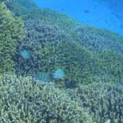 ヒメ日記 2025/05/14 13:00 投稿 浜辺みさき HANABI(福富町)