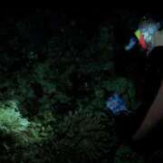 ヒメ日記 2025/05/16 13:00 投稿 浜辺みさき HANABI(福富町)