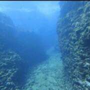 ヒメ日記 2025/05/27 13:00 投稿 浜辺みさき HANABI(福富町)