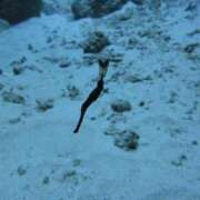 ヒメ日記 2025/05/31 13:00 投稿 浜辺みさき HANABI(福富町)