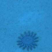 ヒメ日記 2025/06/06 13:00 投稿 浜辺みさき HANABI(福富町)