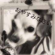 ヒメ日記 2024/12/17 20:29 投稿 さきの 熟女家 十三店