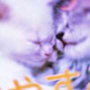 ヒメ日記 2025/01/30 22:12 投稿 さきの 熟女家 十三店