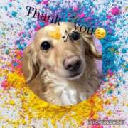 ヒメ日記 2025/03/10 19:30 投稿 さきの 熟女家 十三店