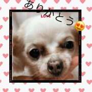 ヒメ日記 2025/03/27 20:24 投稿 さきの 熟女家 十三店