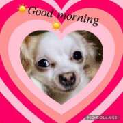 ヒメ日記 2025/04/06 08:10 投稿 さきの 熟女家 十三店