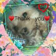 ヒメ日記 2025/04/25 20:54 投稿 さきの 熟女家 十三店