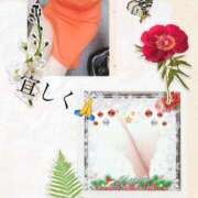 ヒメ日記 2025/05/15 13:08 投稿 さきの 熟女家 十三店