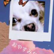 ヒメ日記 2025/05/17 20:11 投稿 さきの 熟女家 十三店