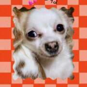 ヒメ日記 2025/05/31 21:50 投稿 さきの 熟女家 十三店