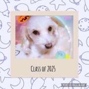 ヒメ日記 2025/06/01 21:58 投稿 さきの 熟女家 十三店