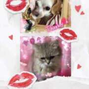 ヒメ日記 2025/06/02 20:27 投稿 さきの 熟女家 十三店