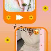 ヒメ日記 2025/06/13 12:00 投稿 さきの 熟女家 十三店