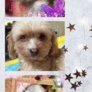 ヒメ日記 2025/06/26 21:31 投稿 さきの 熟女家 十三店