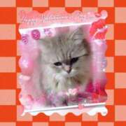 ヒメ日記 2025/08/05 13:35 投稿 さきの 熟女家 十三店